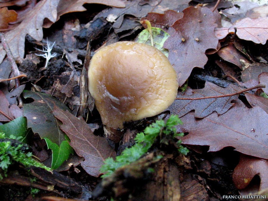 Ritrovamenti di fine Dicembre 2008  parte 1a